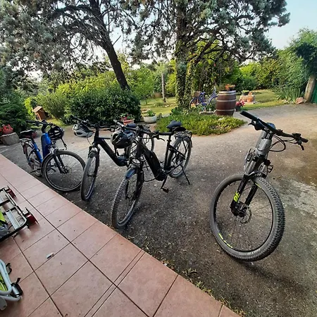 App Casa Neron Lejlighed